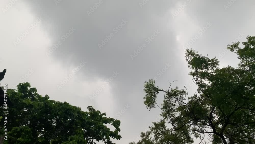 Bad weather condition. Rainy weather. Wind blowing. Storm winds. Bad weather condition. Rainy weather. Wind blowing. Storm winds.