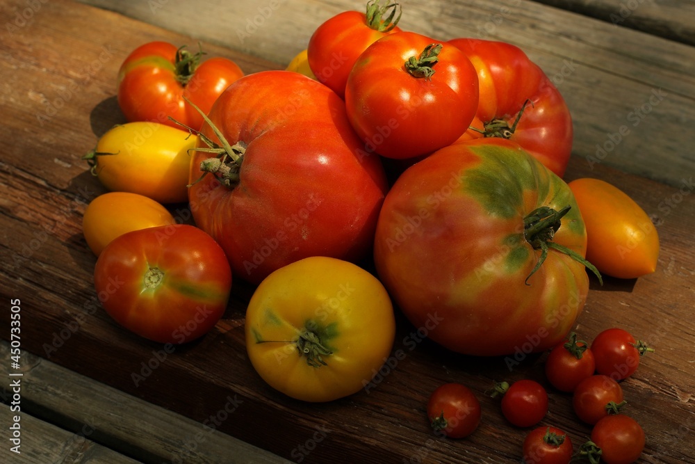 Heirloom home grown tomatoes, summer  