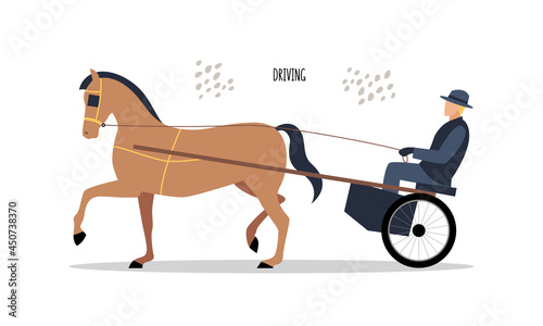 Equestrian sports. Driving. Vector flat illustration isolated on white background
