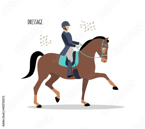 Equestrian sports. Dressage. Vector flat illustration isolated on white background
