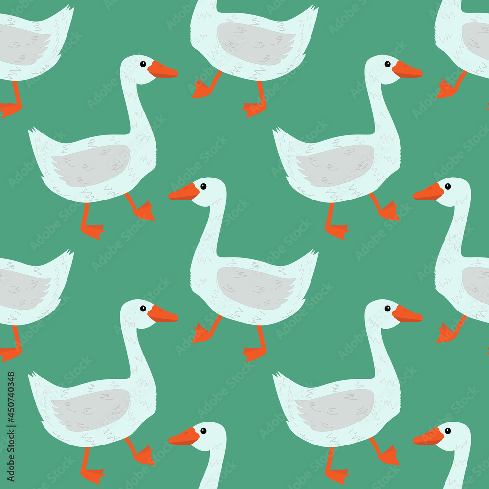 Beautiful domestic geese