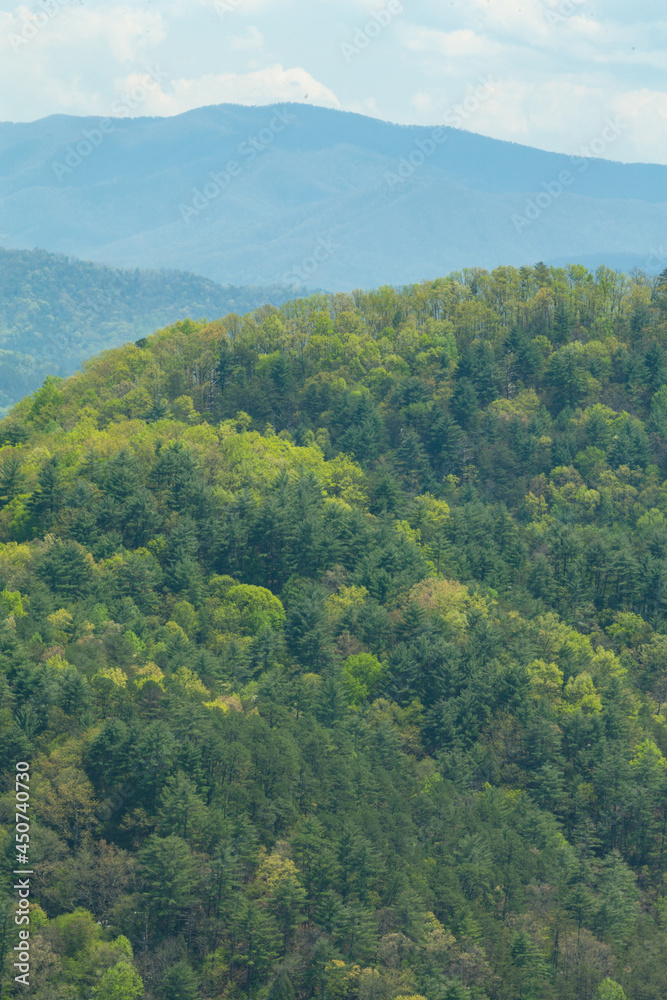 Greening Forest from the Foothills Parkway, TN