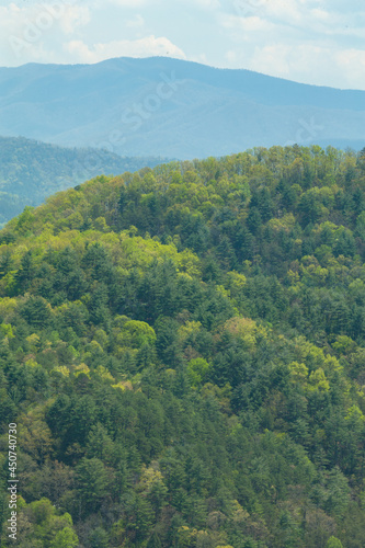Greening Forest from the Foothills Parkway, TN © Jerry