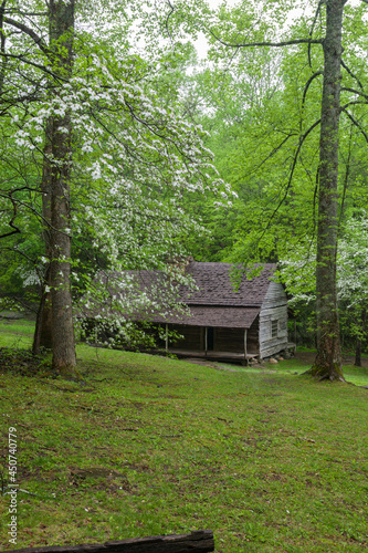 Bud Ogle Cabin, Great Smoky Mountains National Park
