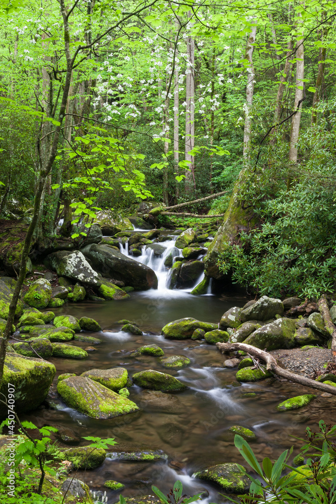 Roaring Fork, Great Smoky Mountains National Park Roaring Fork, Great Smoky Mountains National Park