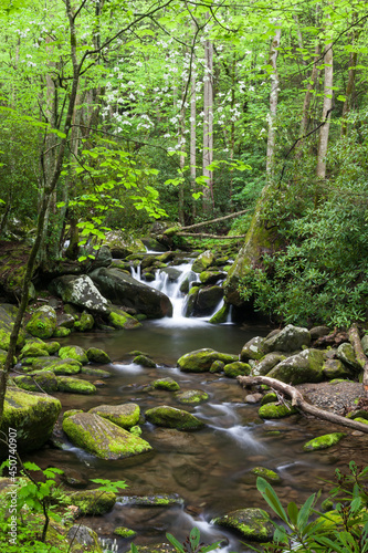 Roaring Fork  Great Smoky Mountains National Park