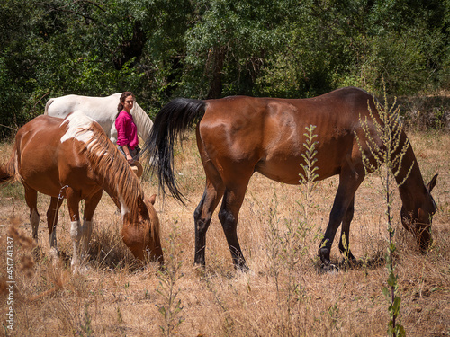 Female horse owner watching her horses graze in a meadow in summer. © Daniel
