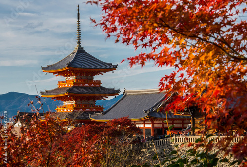 the Kiyomizu-dera temple thrones above Kyoto photo