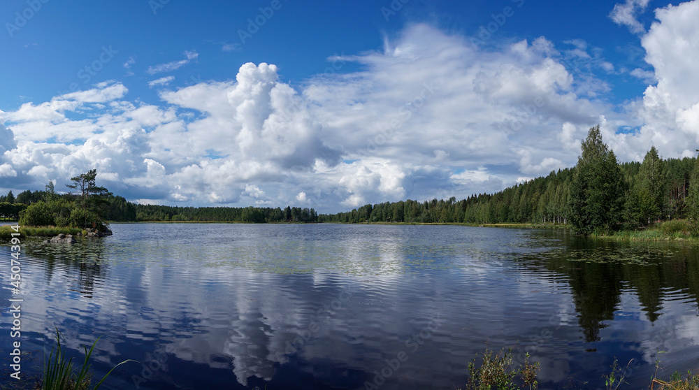 peaceful idyllic lake landscape with lush green summer vegetation under a blue sky with white clouds