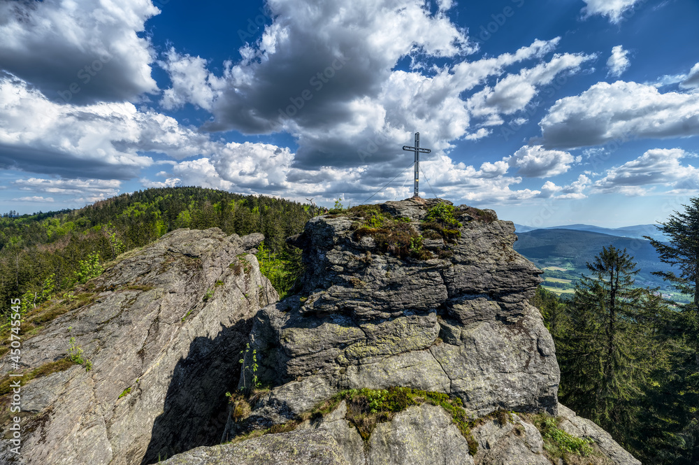 Fototapeta premium der bayrische Wald