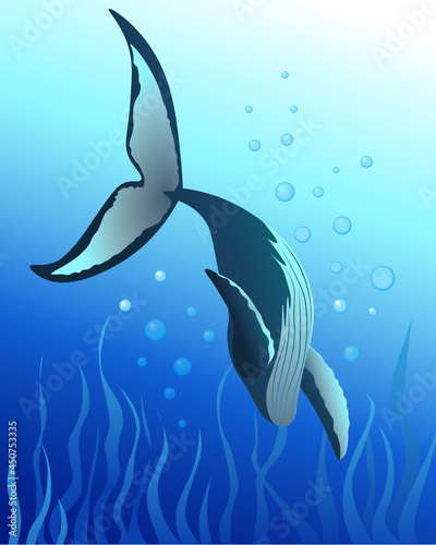 Illustration of a whale in the ocean. Illustration of the underwater world 