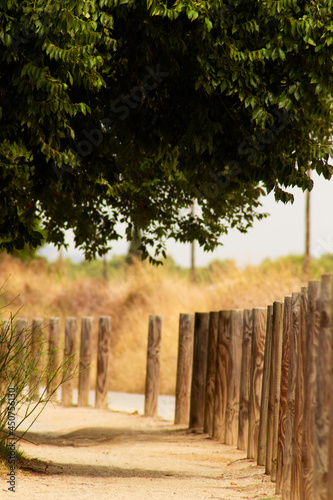 path in the park