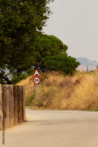 path in the middle of nowhere