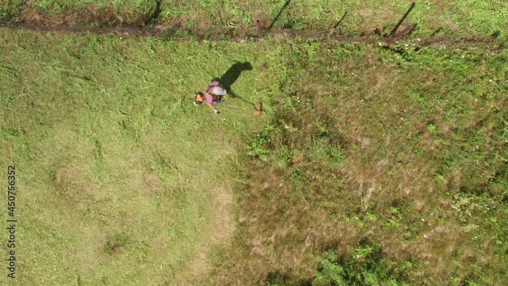 aerial video of a farmer mowing grass on farmland with a gasoline mower. Top-down view aerial video of a farmer mowing grass on farmland with a gasoline mower. Top-down view