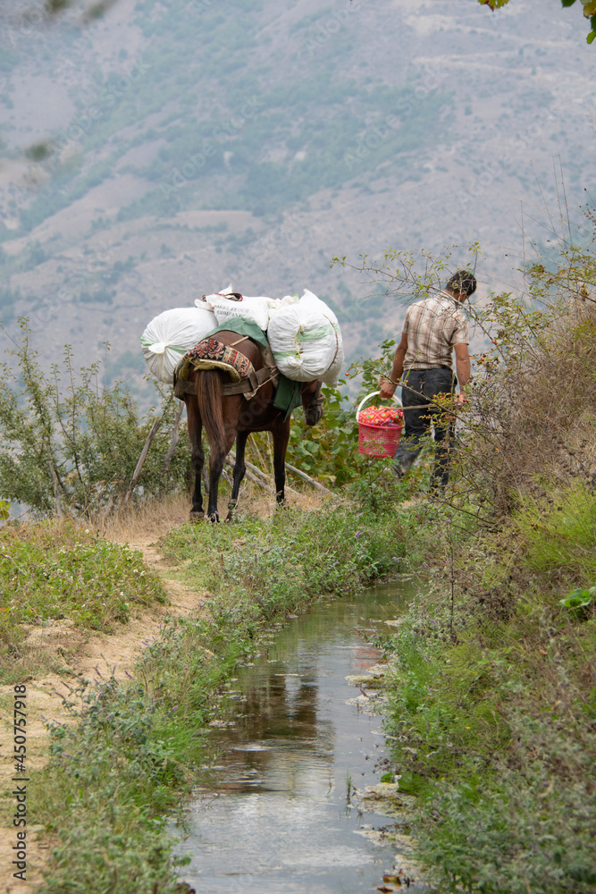 person riding a horse in the mountains person riding a horse in the mountains