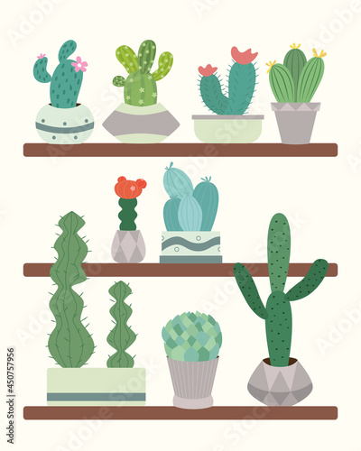 Cute green cacti with thorns in flowerpots are on a shelf in a greenhouse.  Plants and nature, house plants.  Postcards, templates, invitations.