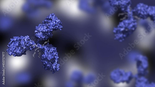 Antibody drug conjugate in blue with four drug compounds linked to IgG immunoglobulin rotating; ADC in blue against blue background 3d render photo
