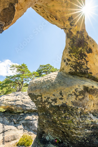Bottom view of unique sandstone arch in pine forest on dry sunny summer day. Bohemian Paradise, Czech Republic