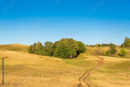 The sky, yellow grass and the road to the forest. Beautiful landscape.