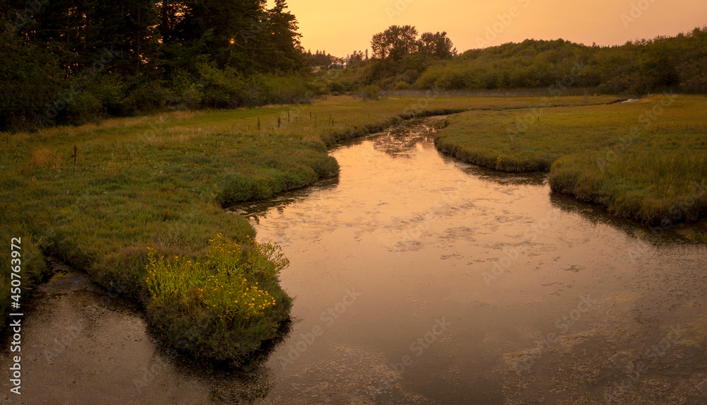 Obraz premium Late Evening Sunset View of a Lovely Wetland on an Island in the Salish Sea. Summertime on Lummi Island can provide spectacular evening light on this slough near Legoe Bay.