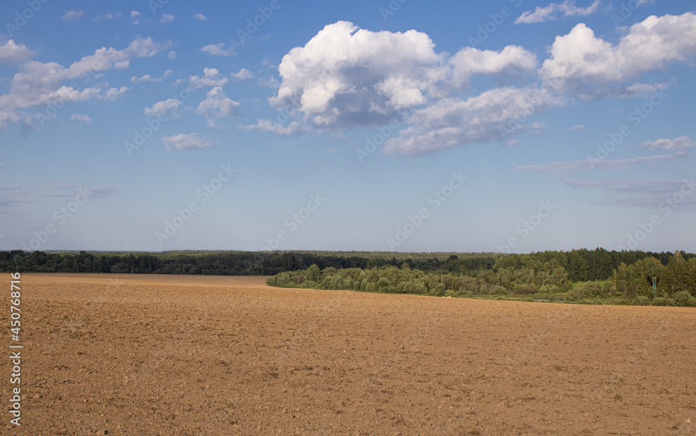 A plowed field after harvesting against the background of a bright blue sky
with floating fluffy clouds and forest. Summer time