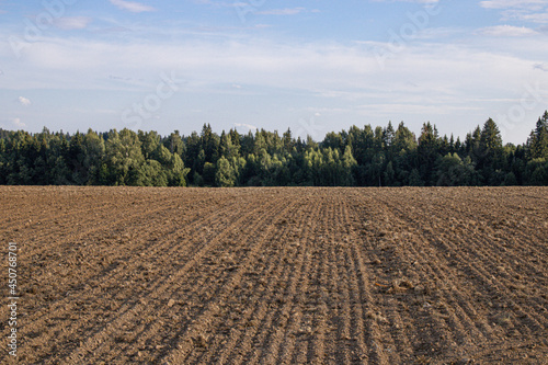 A plowed field after harvesting against the background of a bright blue sky with floating fluffy clouds and forest. Summer time