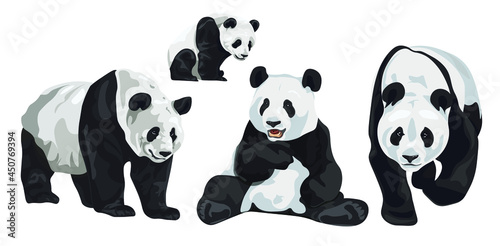 Set of realistic adult giant pandas bears and their cubs. Animals of China. Vector