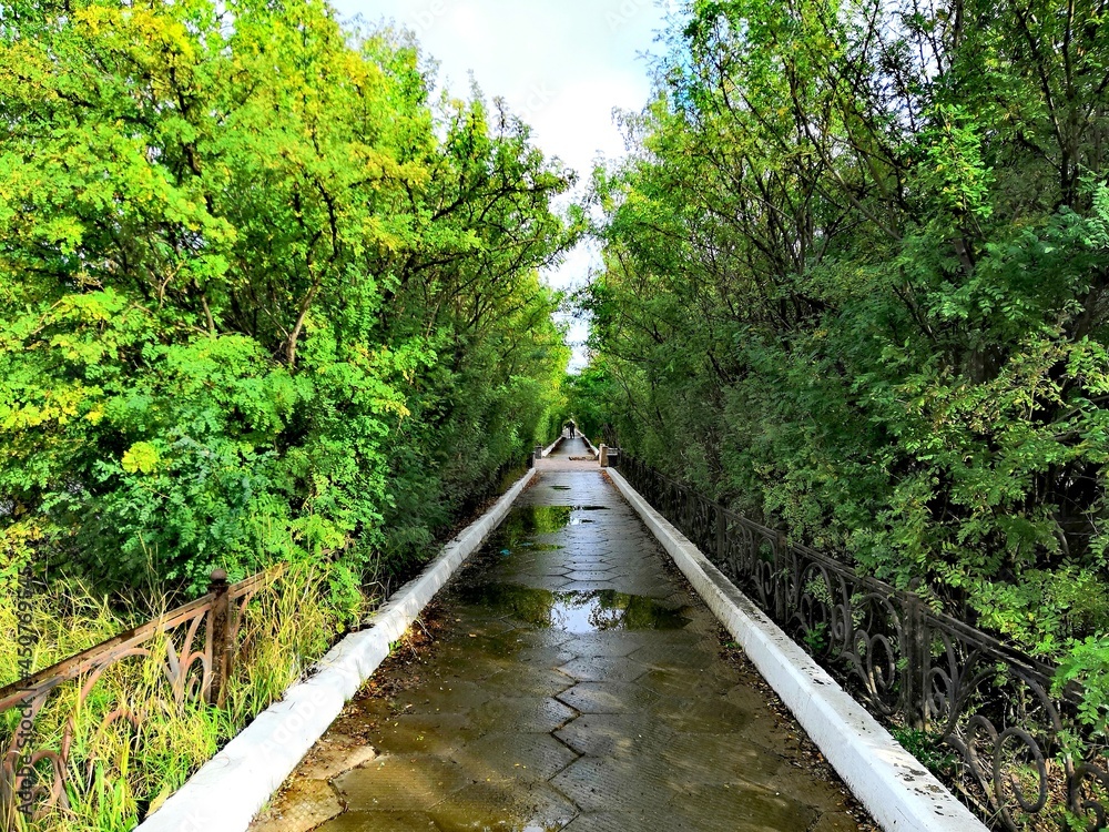 Fototapeta premium path