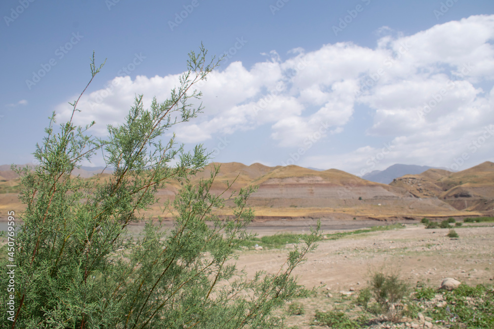 Fototapeta premium desert landscape in state