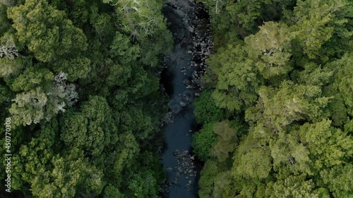 River in the wilderness of New Zealand, Forest, Coromandel photo
