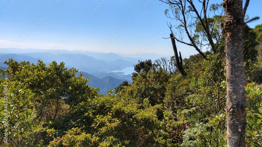landscape landscape