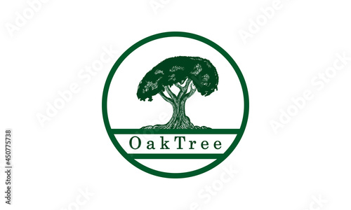 Premium vector Oak Tree logo design template