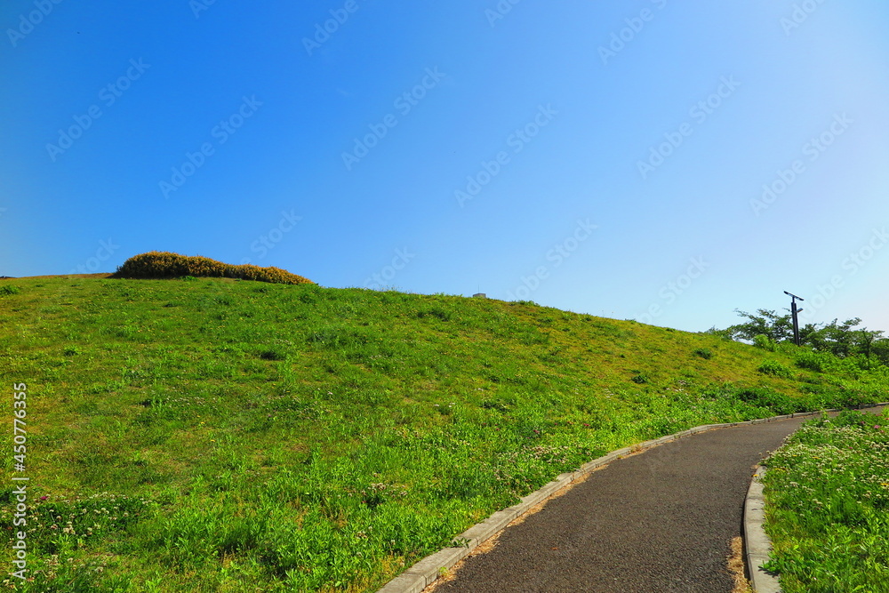 むさしの公園の丘と歩道の風景2