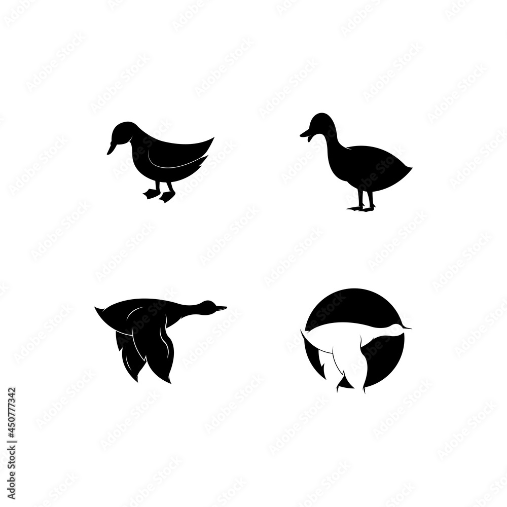 Obraz premium Duck logo vector icon template