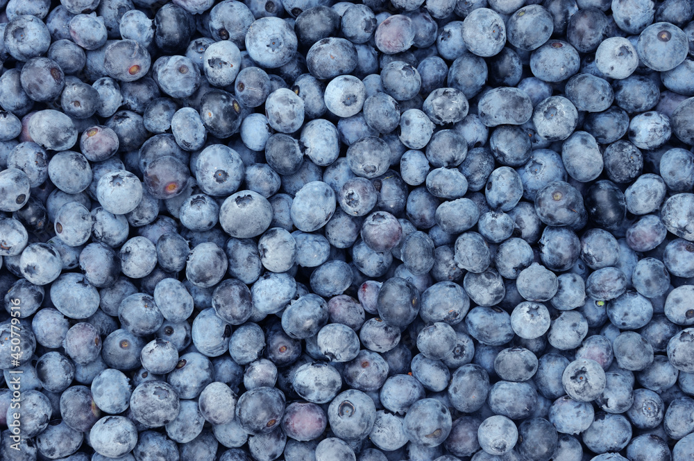 fresh picked blueberry with green leaves