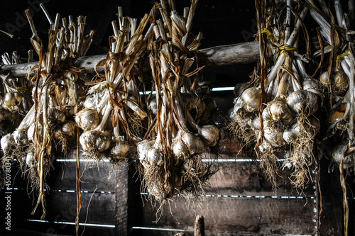natural garlic 