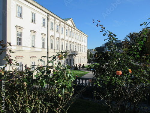 house in the garden