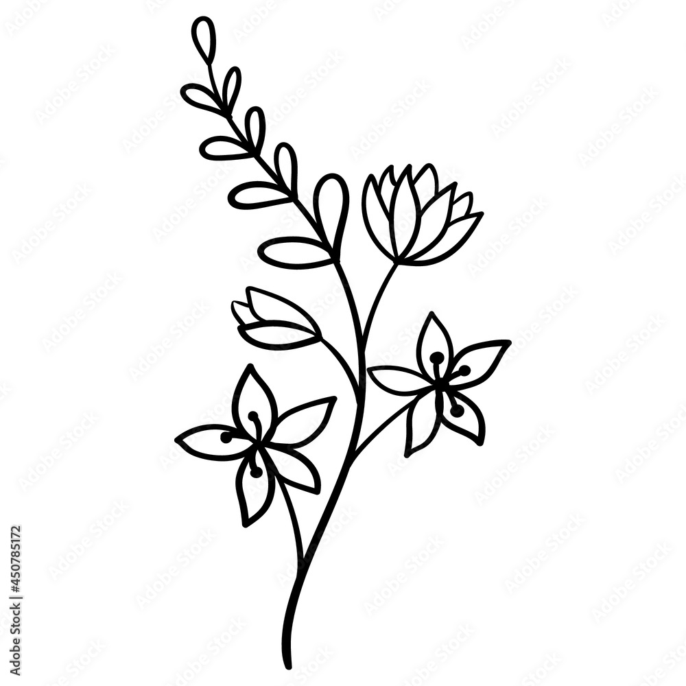 Flowers-51 Flowers-51