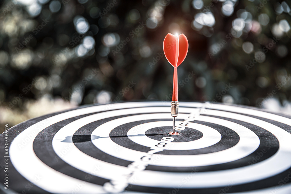 Bullseye or Bulls eye target or dartboard has red dart arrow throw hitting the center of a shooting for financial business targeting planning and aim to winner goal of business concept. Bullseye or Bulls eye target or dartboard has red dart arrow throw hitting the center of a shooting for financial business targeting planning and aim to winner goal of business concept.