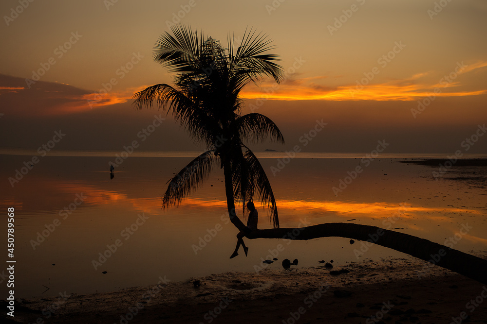 Girl silhouette on palm tree Thailand sunset beach
