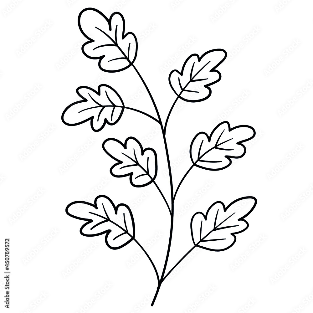 Plant-twig-31 Plant-twig-31