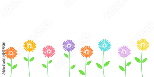 spring flowers isolated on white background.