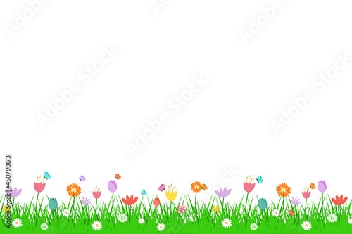 spring grass flowers and butterfly isolated on blue background.
