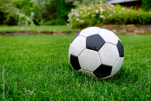 Close-up view of football ball on green grass lawn © Maksim Shebeko