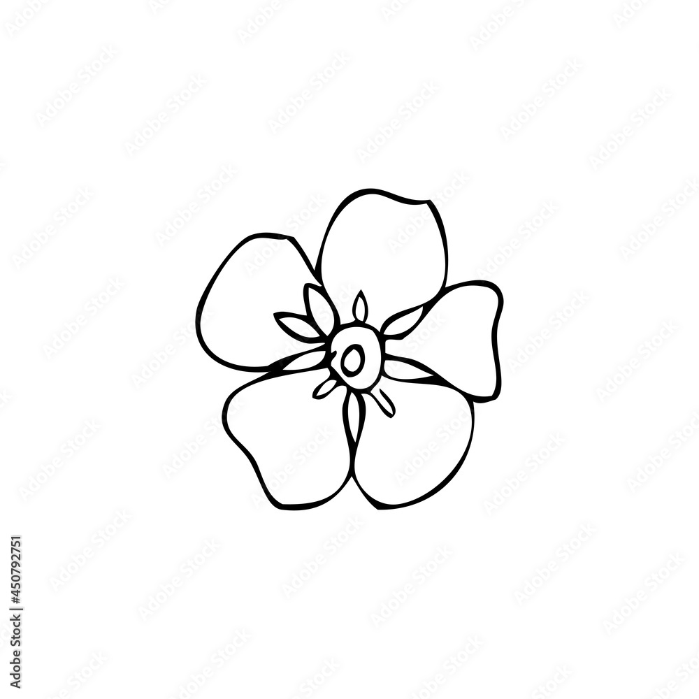 Forget-me-not flower vector illustration isolated on white background, ink sketch, decorative herbal doodle, line art style for design medicine, wedding invitation, greeting card, floral cosmetic