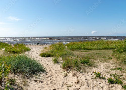 seaside landscape from Estonia  sea grasses and rocks in shallow sea water  Kabli bird center  Parnu Bay  Estonia