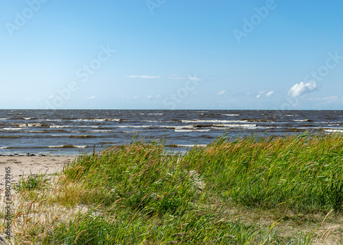 seaside landscape from Estonia, sea grasses and rocks in shallow sea water, Kabli bird center, Parnu Bay, Estonia photo