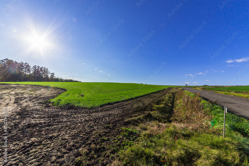 Obraz premium 晩秋の美瑛