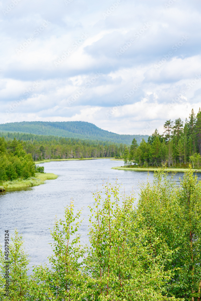 Fototapeta premium River flowing through a forest landscape