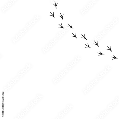 Vector background with bird trail on the right side. Black Bird footprints track